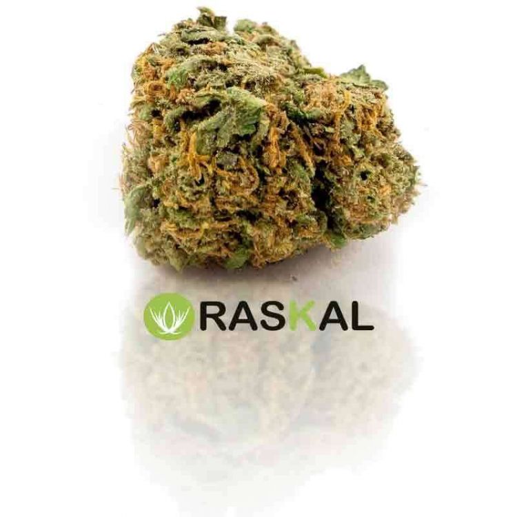 ak 47 cannabis light ak 47 cannabis light