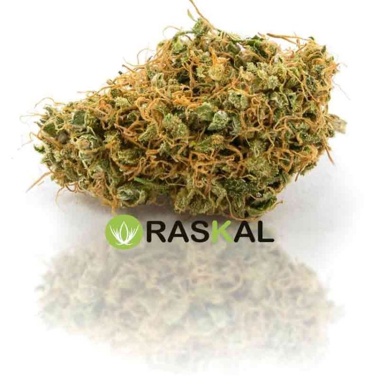 amnesia haze amnesia haze