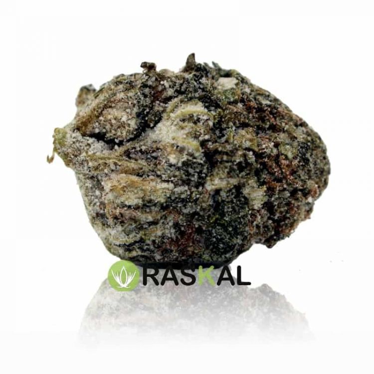 moon rock weed