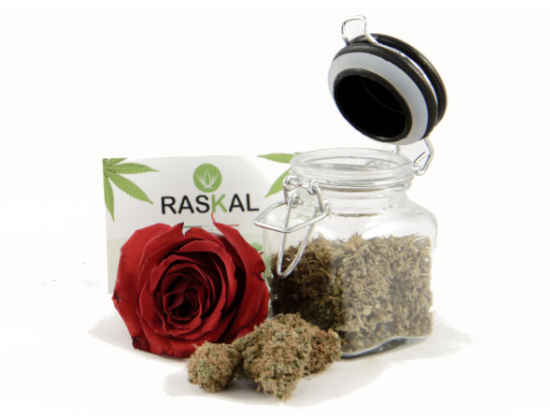 marijuana legale online marijuana legale online