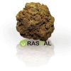 Moon Rock Moon Rock