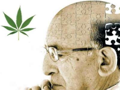 CBD and dementia: Is it effective?