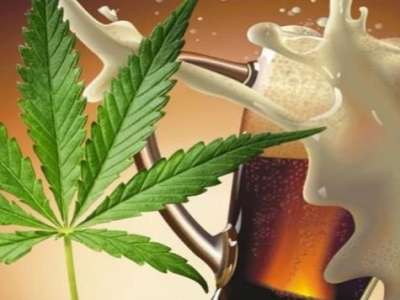 Interactions between CBD and alcohol, what to know.